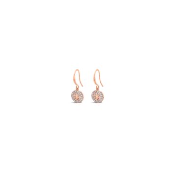 Absolute Rose Gold White Opal Earrings North Star Drop