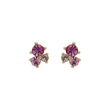 Ted Baker Gold Pink Cluster Stud Earrings