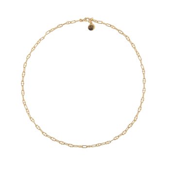 Aquaforte Gold Crab Link Chain