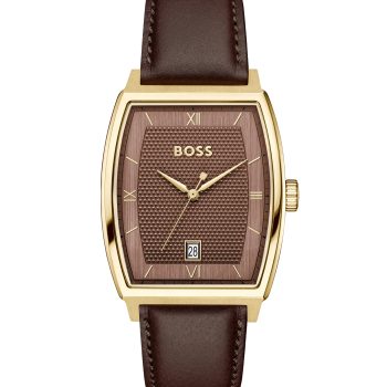 Boss Gents Principle Ark Brown Watch